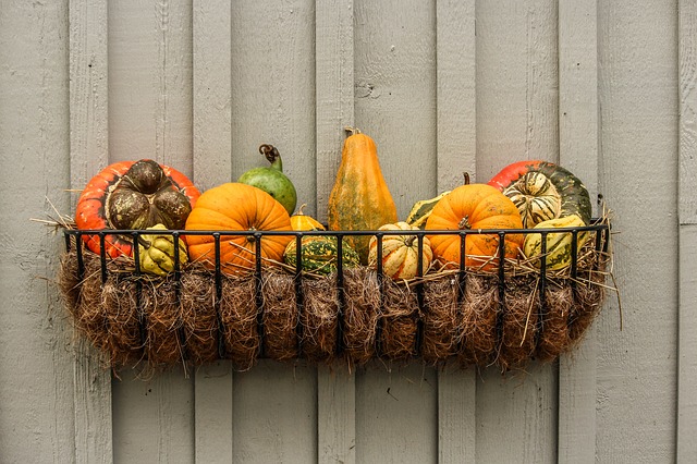 Winter squash is a nutrition powerhouse.