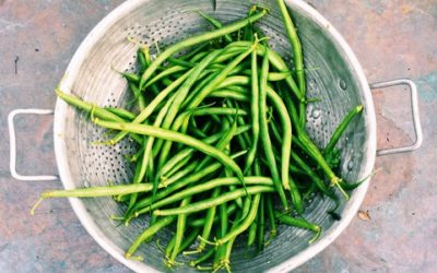 Green Beans – Budget-Friendly and Versatile