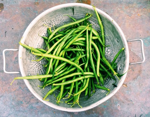 green beans are budget friendly and versatile