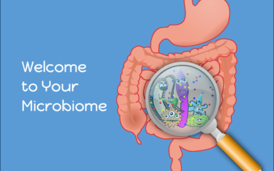 More than a Gut Feeling: Inside the Microbiome