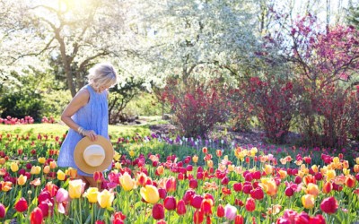 Stay Ahead of Spring Allergies