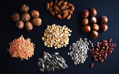 Comparing Plant Proteins