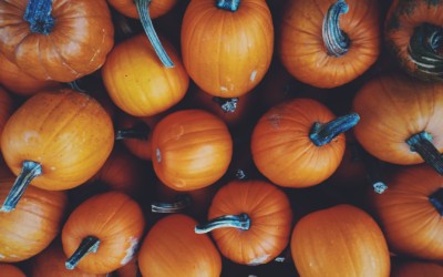 Fall in Love with Pumpkins