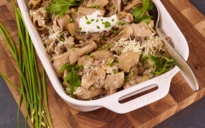 Mushroom Stroganoff Shells with Whole Grain Pasta Shells