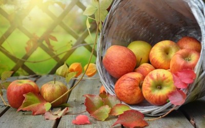Fun Fruit Trivia: Apples