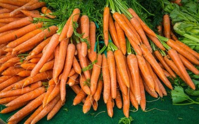 Fun Vegetable Trivia: Carrots