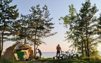 The Health Benefits of Camping